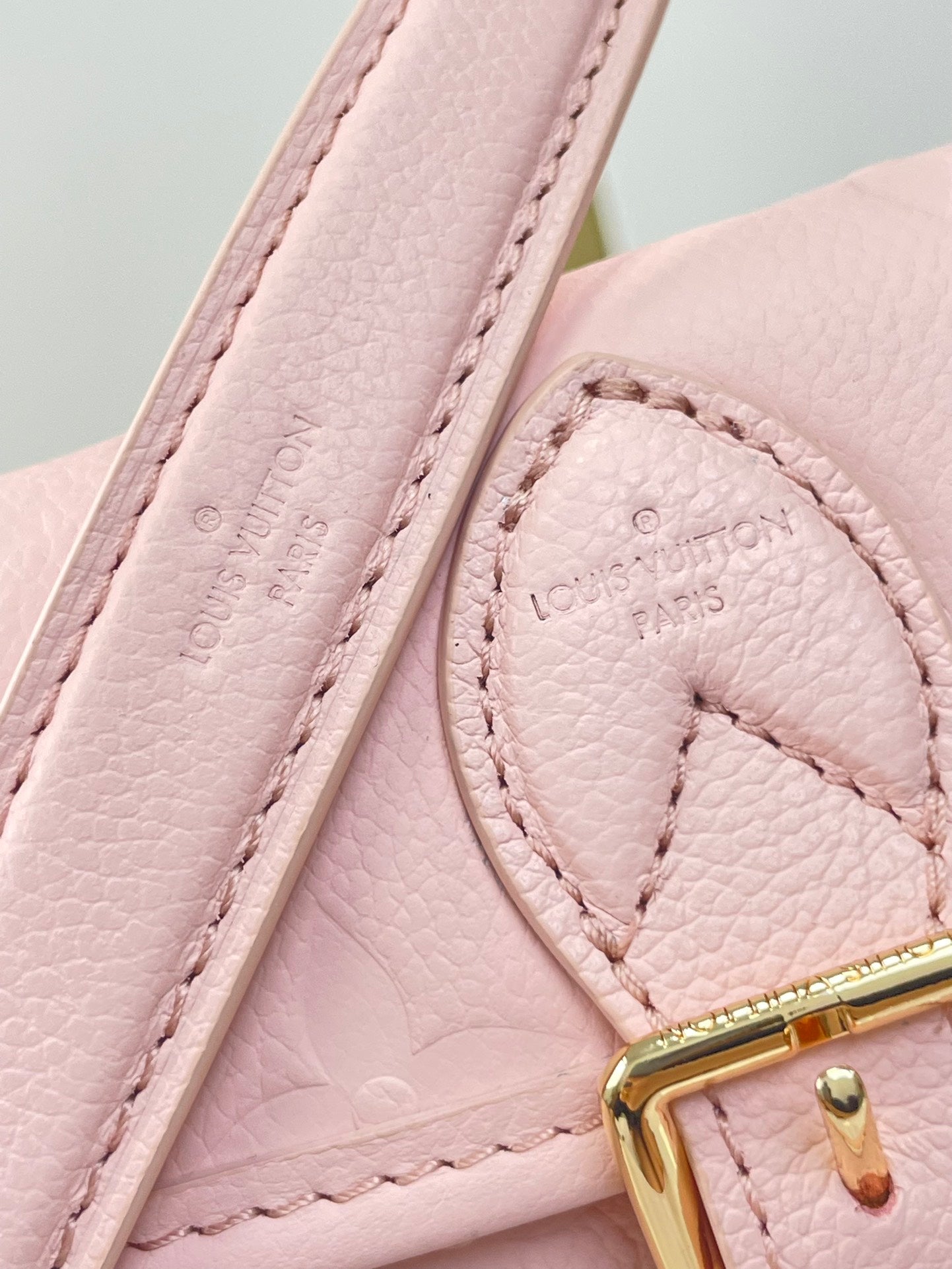 NANO DIANE 19 DE PIEL EMPREINTE MONOGRAMA ROSA OPALE