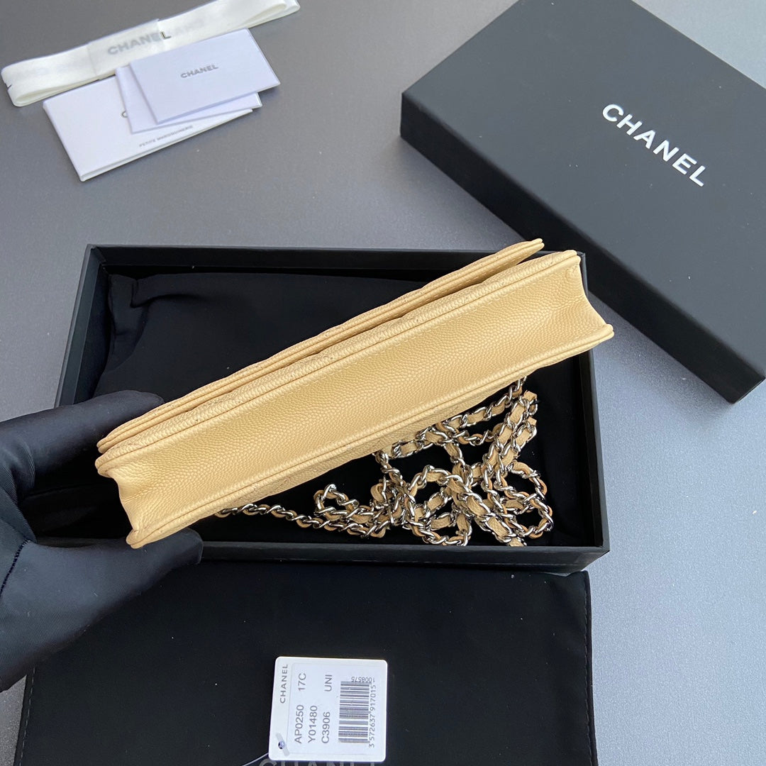 CC Woc 20cm Lime Grained Calfskin Silver Hardware