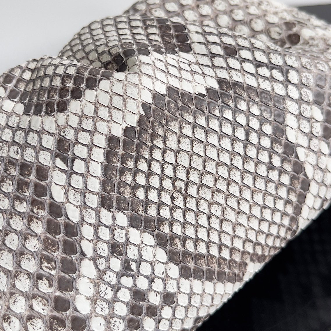 Mini sac pochette BV 22 cm en python avec finitions en cuir 209316