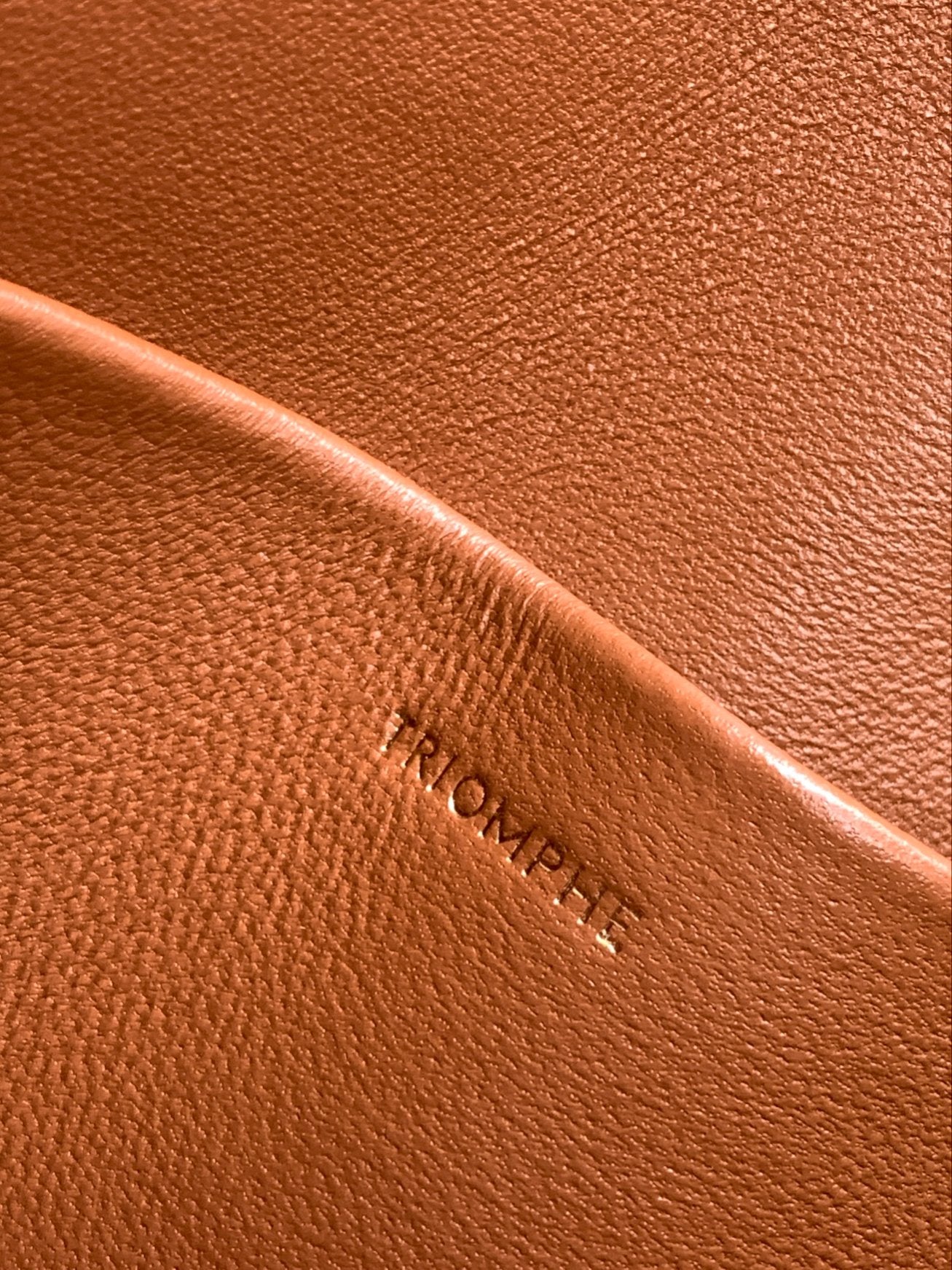 TEEN TRIOMPHE 18,5 CM TOILE MONOGRAMME BEIGE ET CUIR DE VEAU BRUN