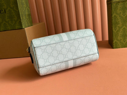 BOLSO OPHIDIA 21 CON ASA SUPERIOR EN LONA CON MONOGRAMA GRIS VERDE Y ADORNOS DE PIEL DE BECERRO CON HERRAJES DORADOS